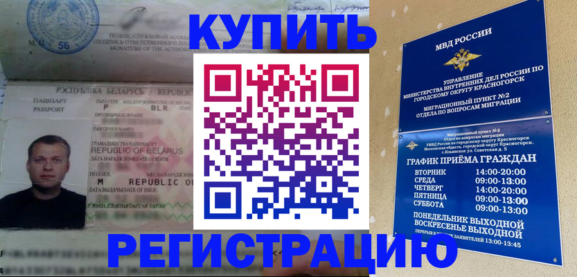 прописка законно в Зернограде